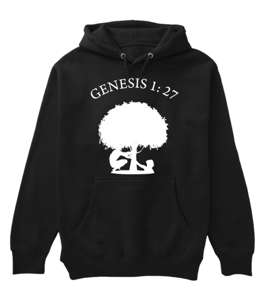 GENESIS 1 : 27