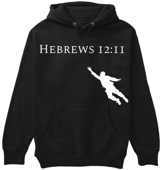 HEBREWS 12 : 11