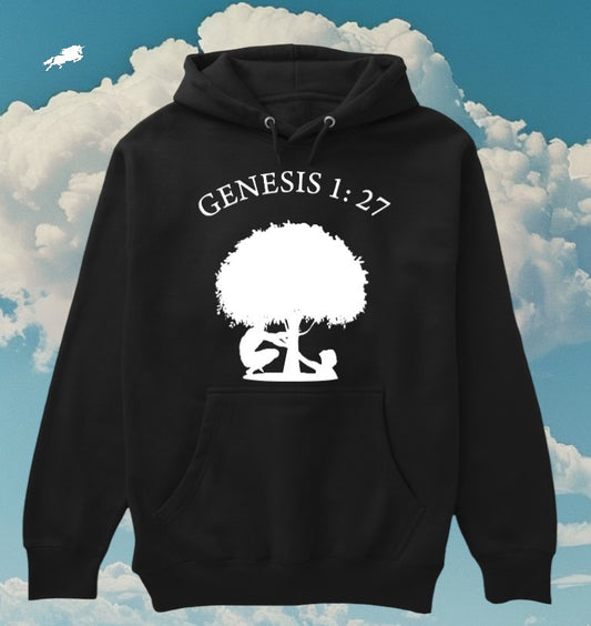 GENESIS 1 : 27